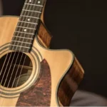 play a 6-string acoustic guitar